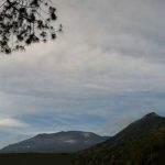 Picsart_25-04-05_03-26-52-227